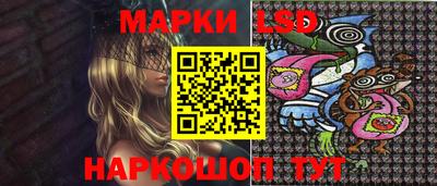 амф Новодвинск