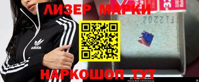 амф Новодвинск