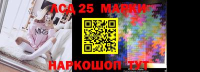 амф Новодвинск