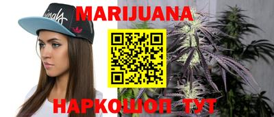 амф Новодвинск